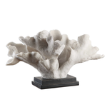 Outside The Box 12" Blade White Coral Sculpture