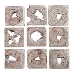 Outside The Box Set of 9 Bahati Whitewashed Suar Wood Wall Art