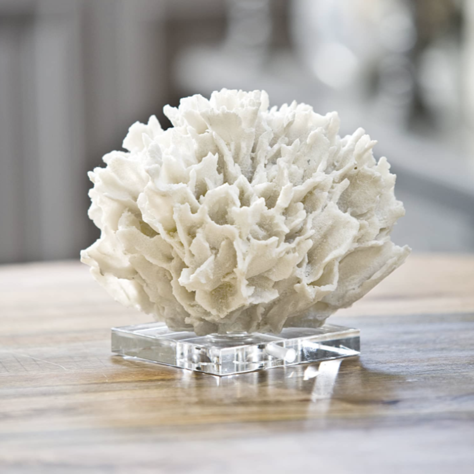 Outside The Box 7" Regina Andrew Ribbon White Coral On Crystal Base