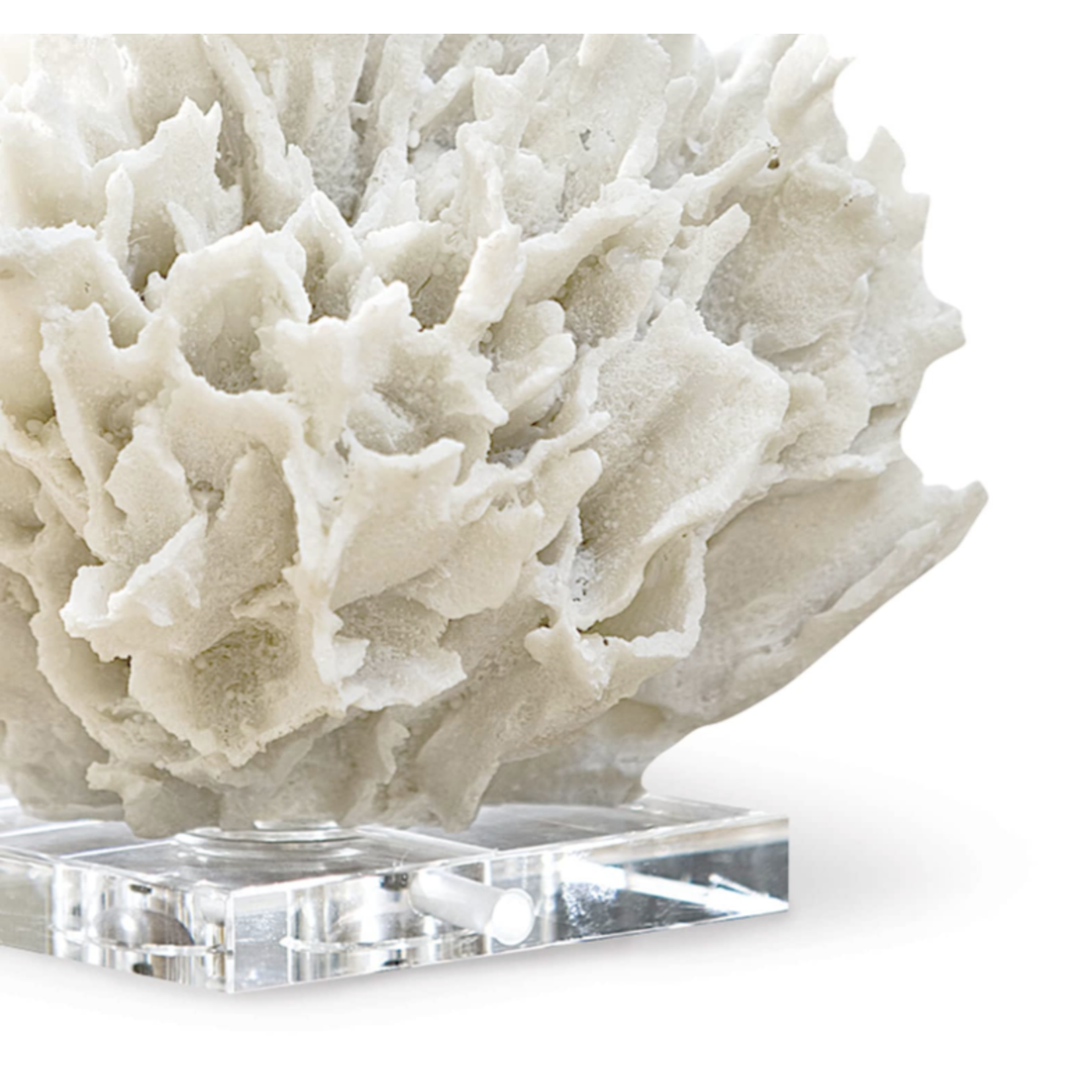 Outside The Box 7" Regina Andrew Ribbon White Coral On Crystal Base