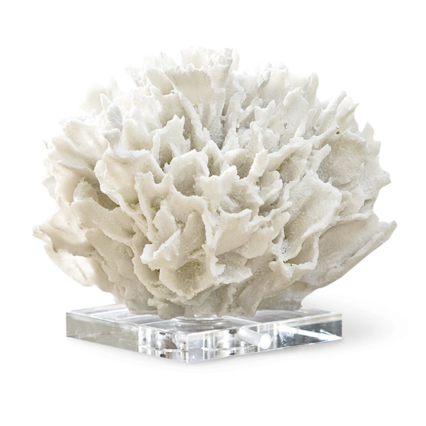 Outside The Box 7" Regina Andrew Ribbon White Coral On Crystal Base