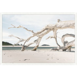 Outside The Box 67x46 Driftwood Composition Art With White Frame