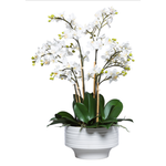 Outside The Box 27" White Mini Phalaenopsis Silk Orchid In White Rippled Planter
