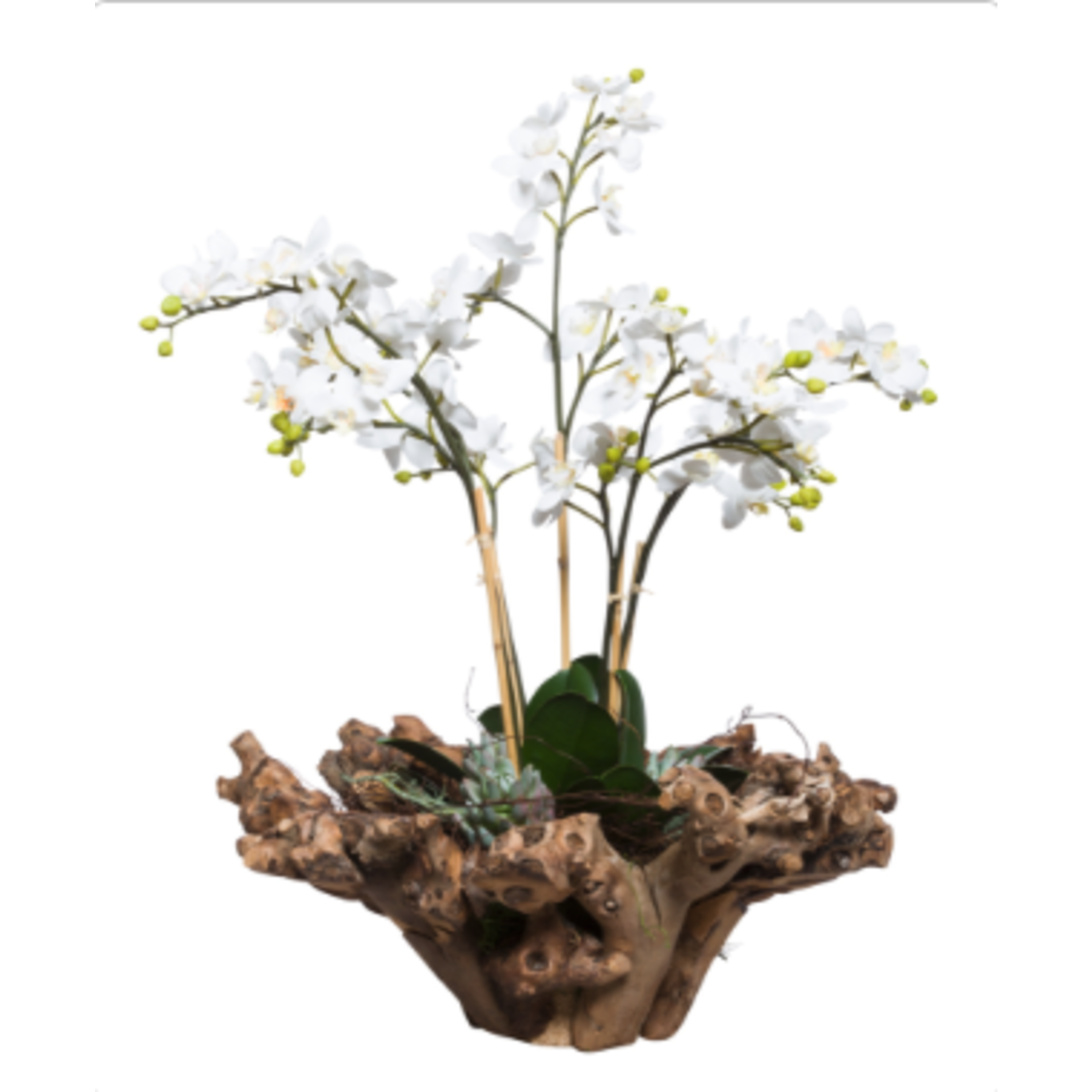 26" White Mini Phalaenopsis Silk Orchid In Wood Bowl