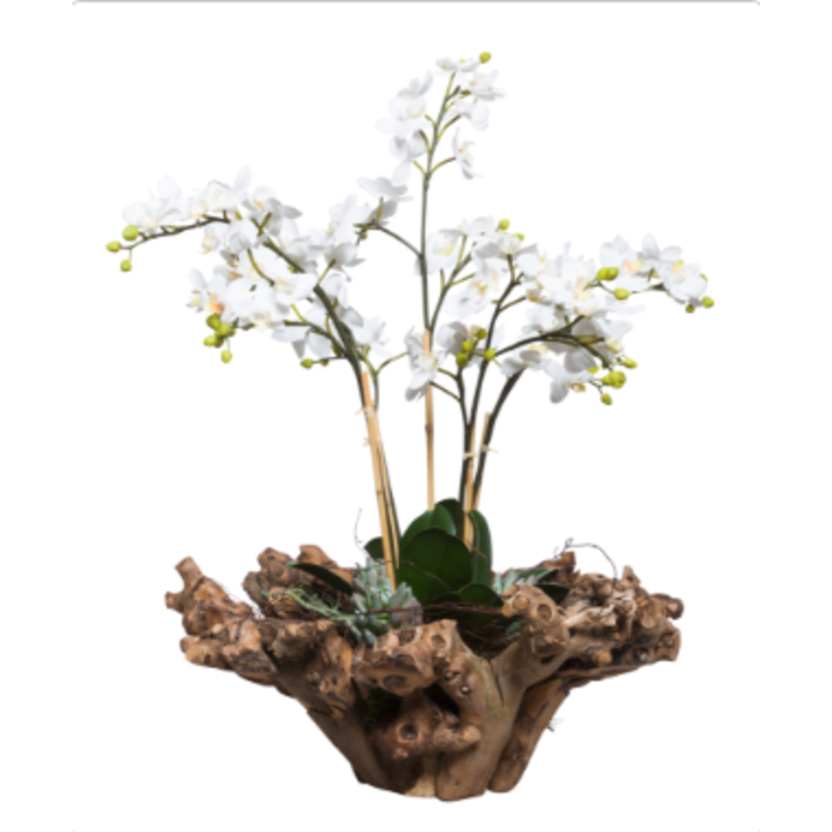 Outside The Box 26" White Mini Phalaenopsis Silk Orchid In Wood Bowl