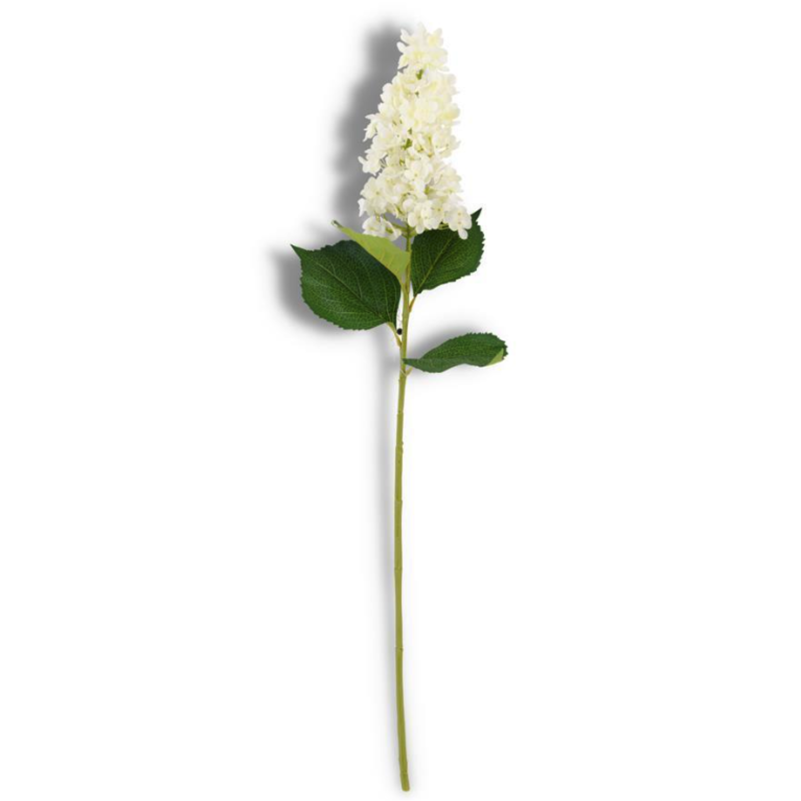 Outside The Box 38" White Cone Hydrangea Stem