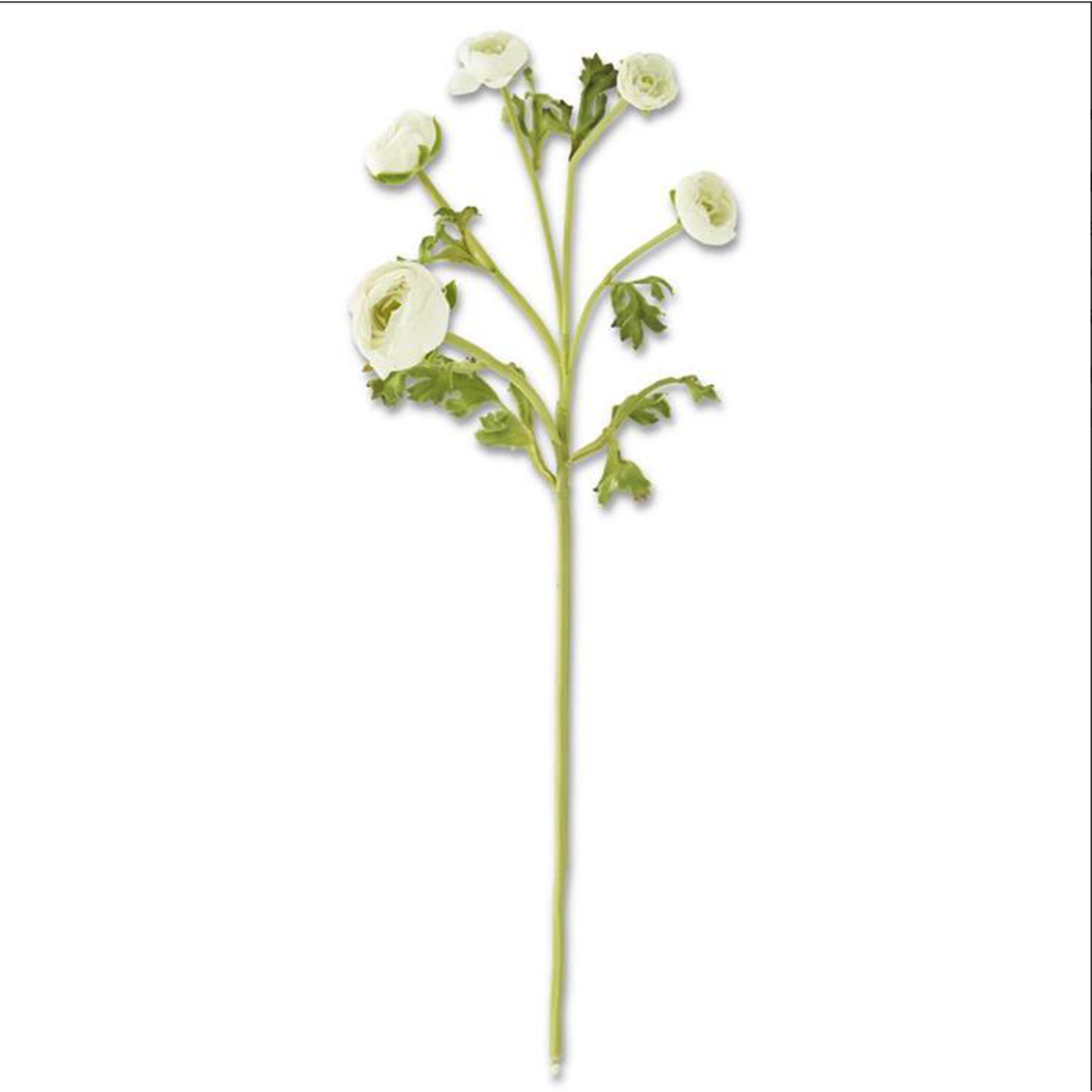 21" White Real Touch Ranunculus Stem