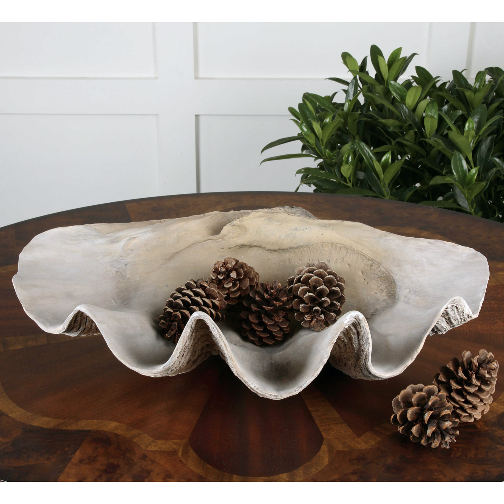 Outside The Box 23" Clam Shell Decorative Indoor Bowl