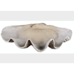 Outside The Box 23" Clam Shell Decorative Indoor Bowl