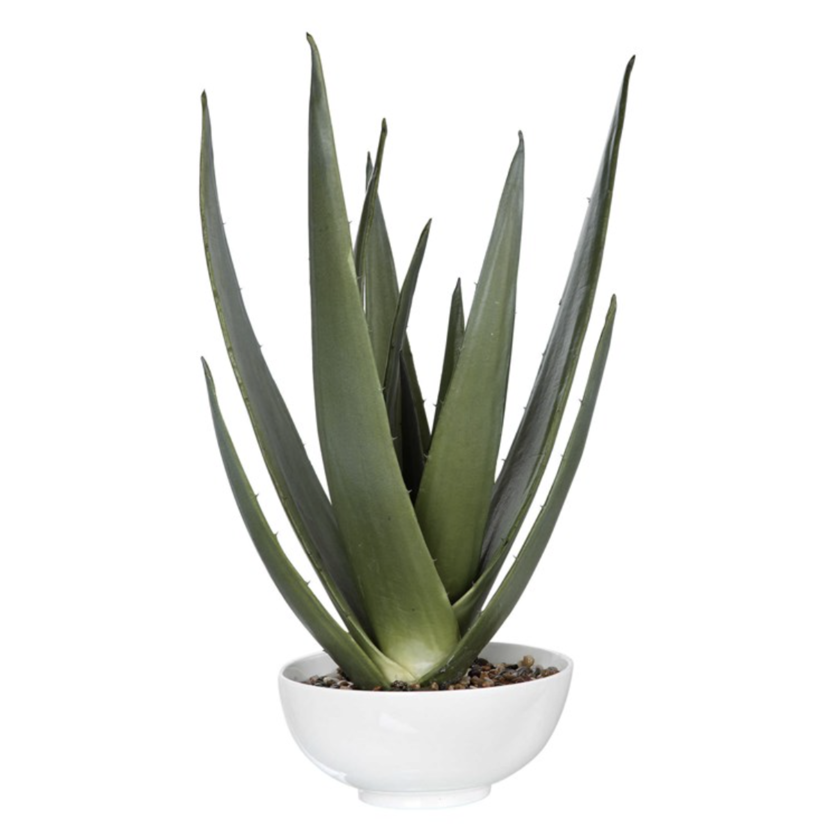 Outside The Box 30" Evarado Aloe Vera Planter