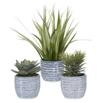 Outside The Box 7" - 16" Puebla Greenery In Blue & White Ceramic Planter - SOLD SEPARATELY