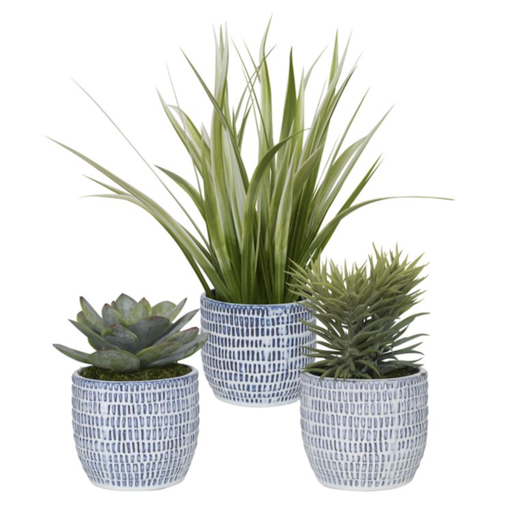 Outside The Box 7" - 16" Puebla Greenery In Blue & White Ceramic Planter - SOLD SEPARATELY