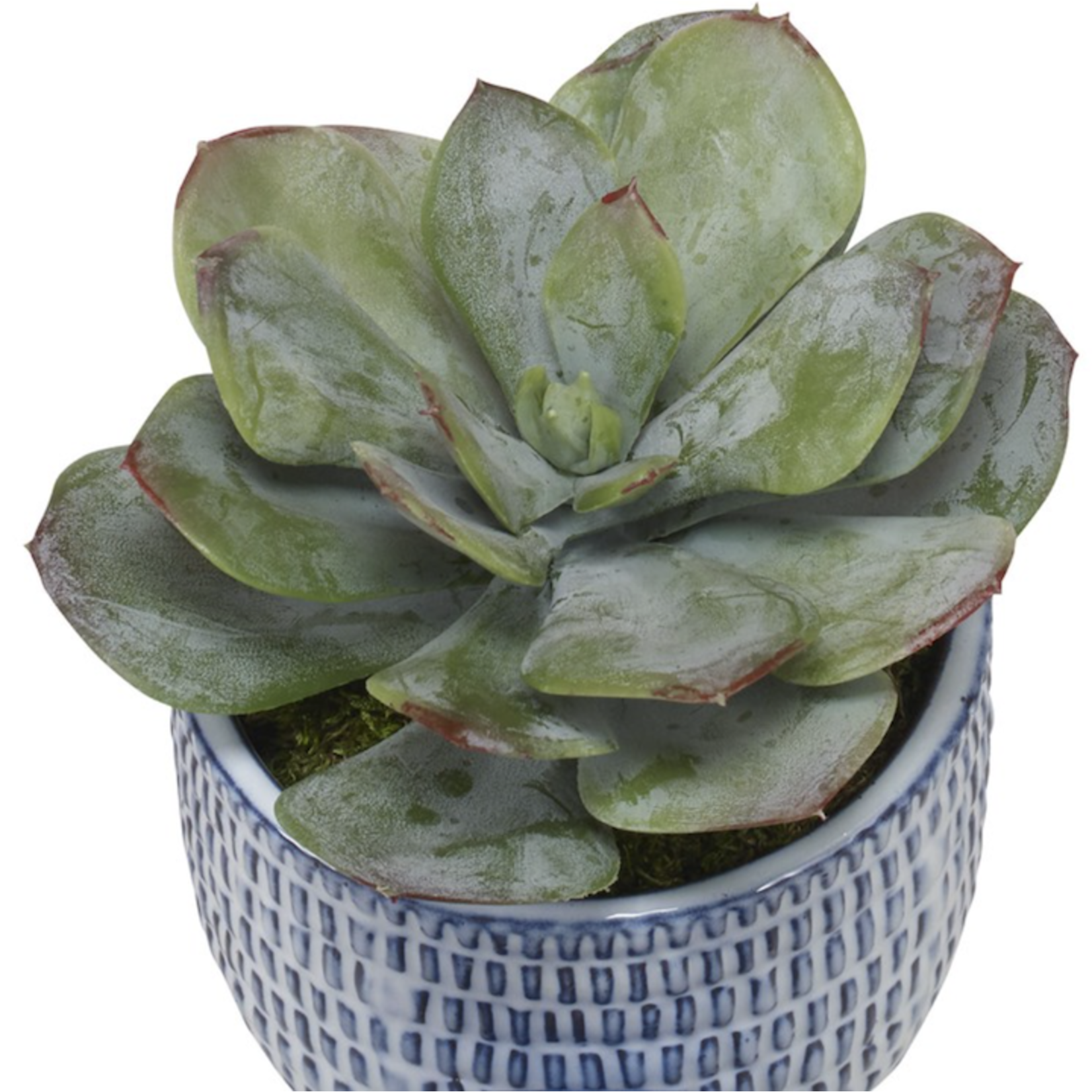 Outside The Box 7" - 16" Puebla Greenery In Blue & White Ceramic Planter - SOLD SEPARATELY