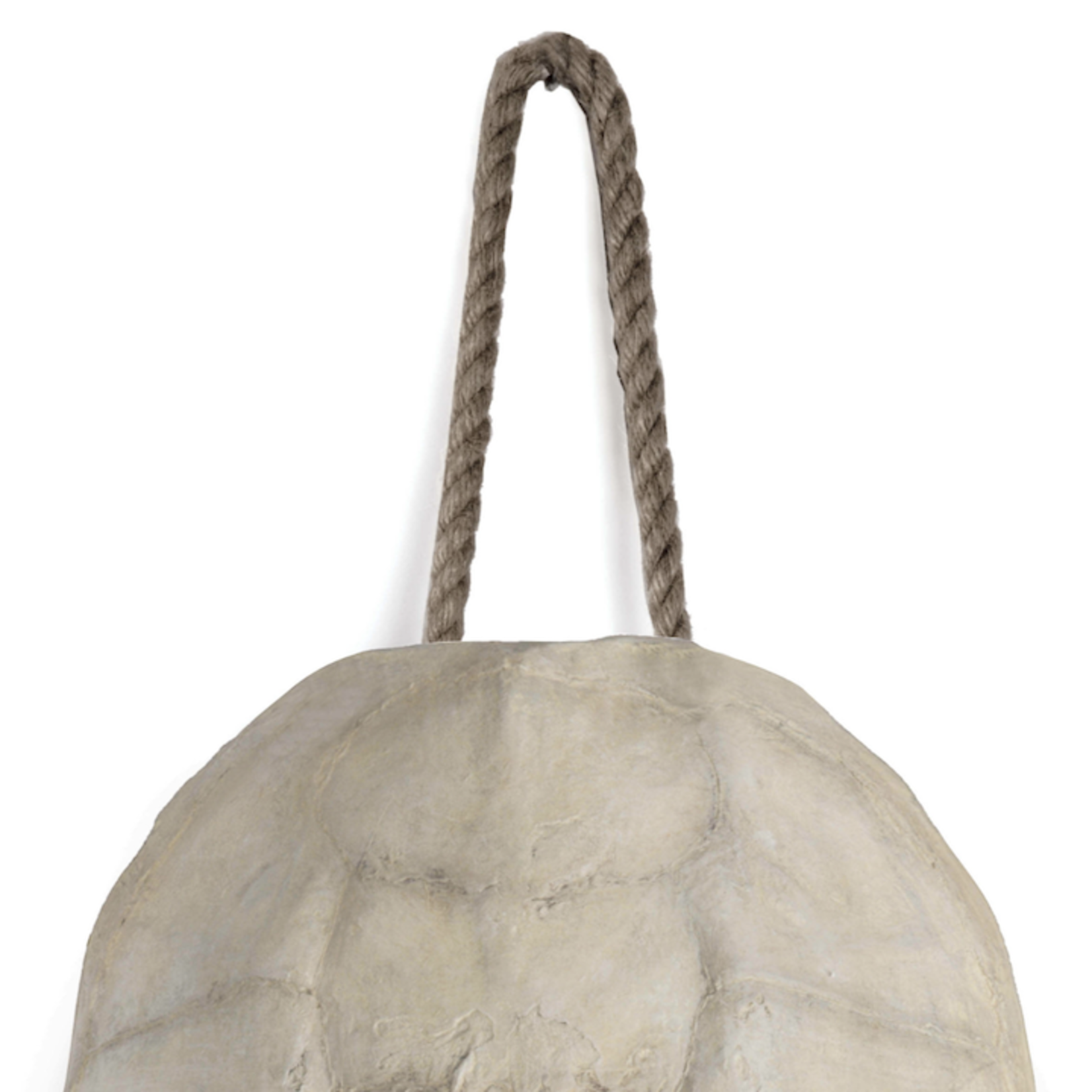Outside The Box 13" Turtle Antique White Resin Shell Decor
