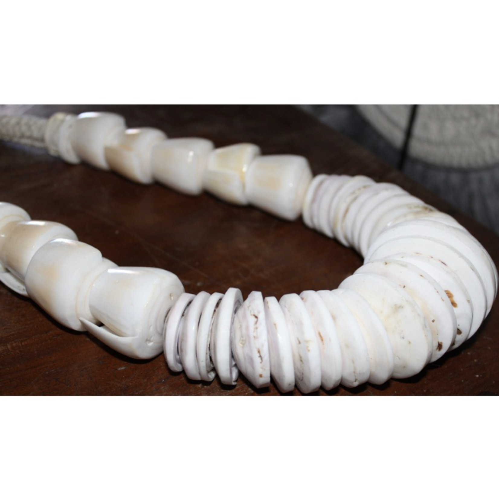 Outside The Box 19" Handcrafted Natural White Shells Necklace