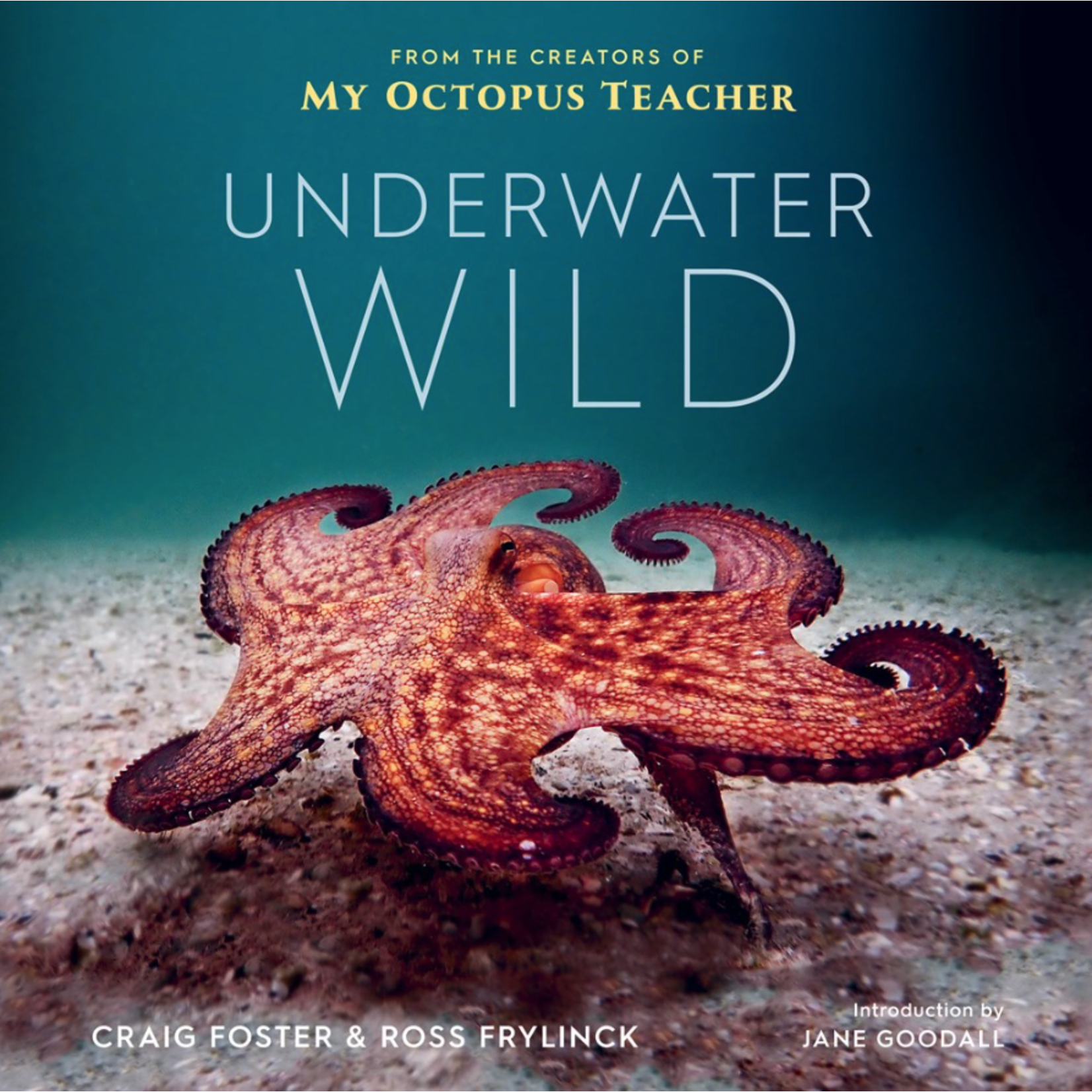 Outside The Box Underwater Wild Hardcover Book
