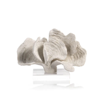 Outside The Box 10x5x7 White Coron Coral With Acrylic Base