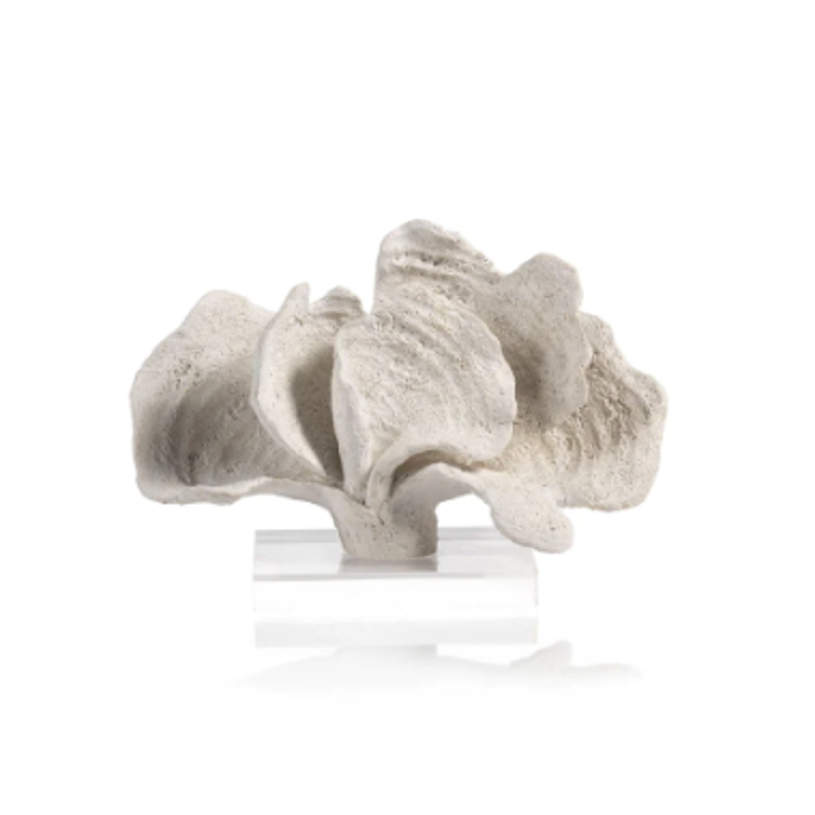 Outside The Box 10x5x7 White Coron Coral With Acrylic Base