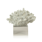 Outside The Box 6x4x6 White Coral Sculpture With Acrylic Base