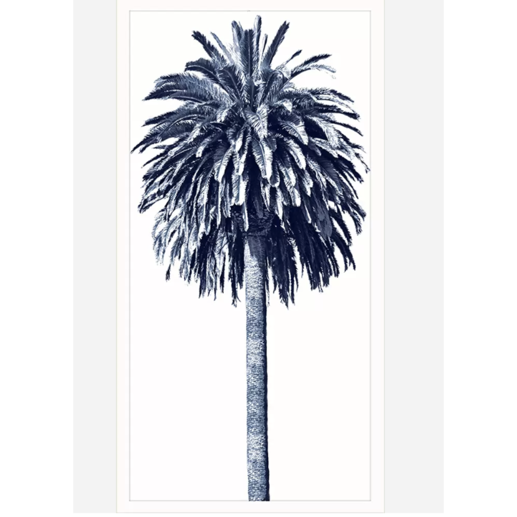 Outside The Box 50x26 Palm Tree Blue 2 Art