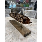 Outside The Box 24" Natural  Seed Pod With Solid Wood Base