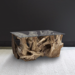 Outside The Box 35x24x18 Natural Teak Root Coffee Table With Glass
