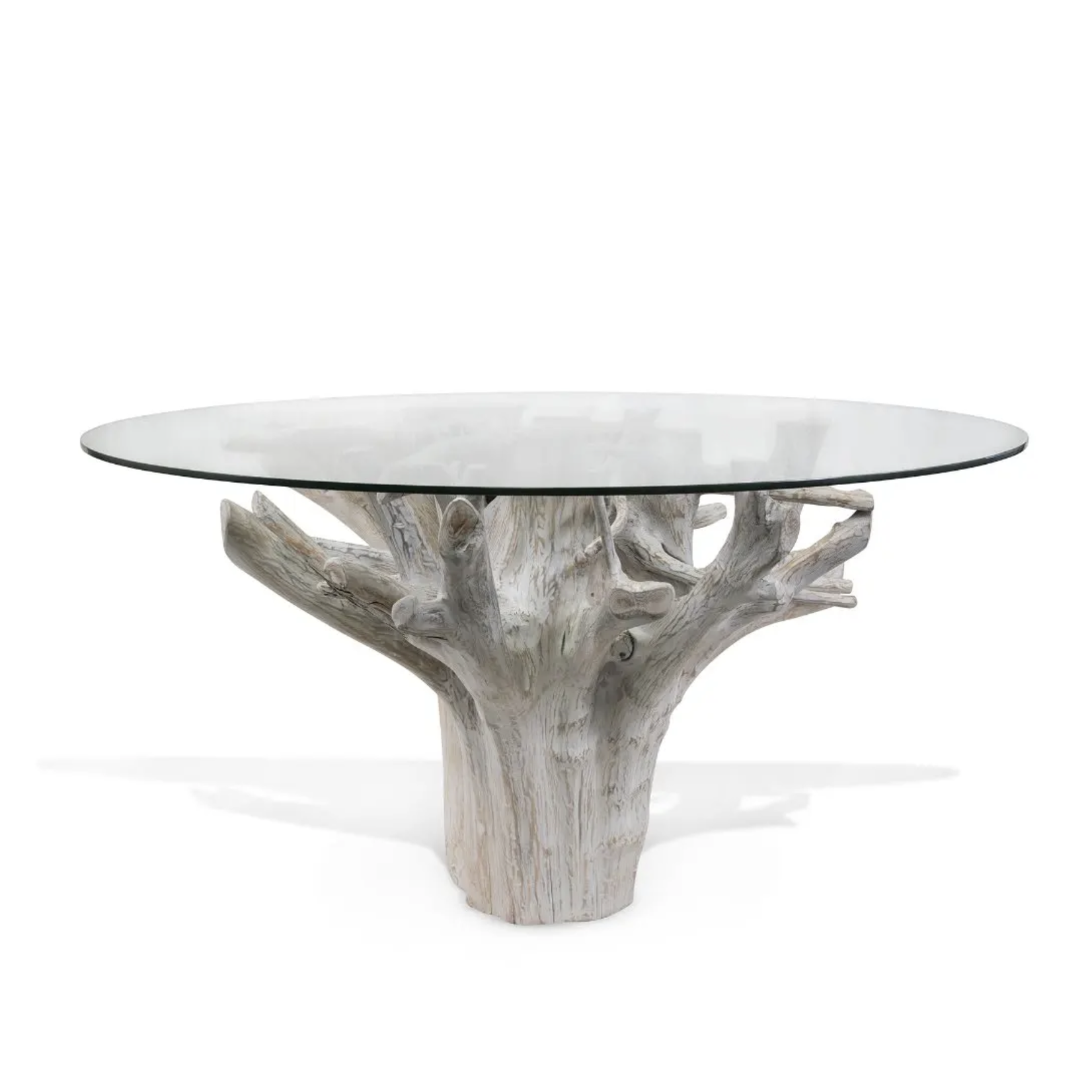 Outside The Box 56" Whitewash Teak Root Dining Table With Glass Top
