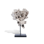 Outside The Box 23" Eruption Bleached Teak Wood Sculpture On Base