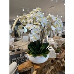 Outside The Box 36" White Phalaenopsis Orchid In White Rattan Bowl