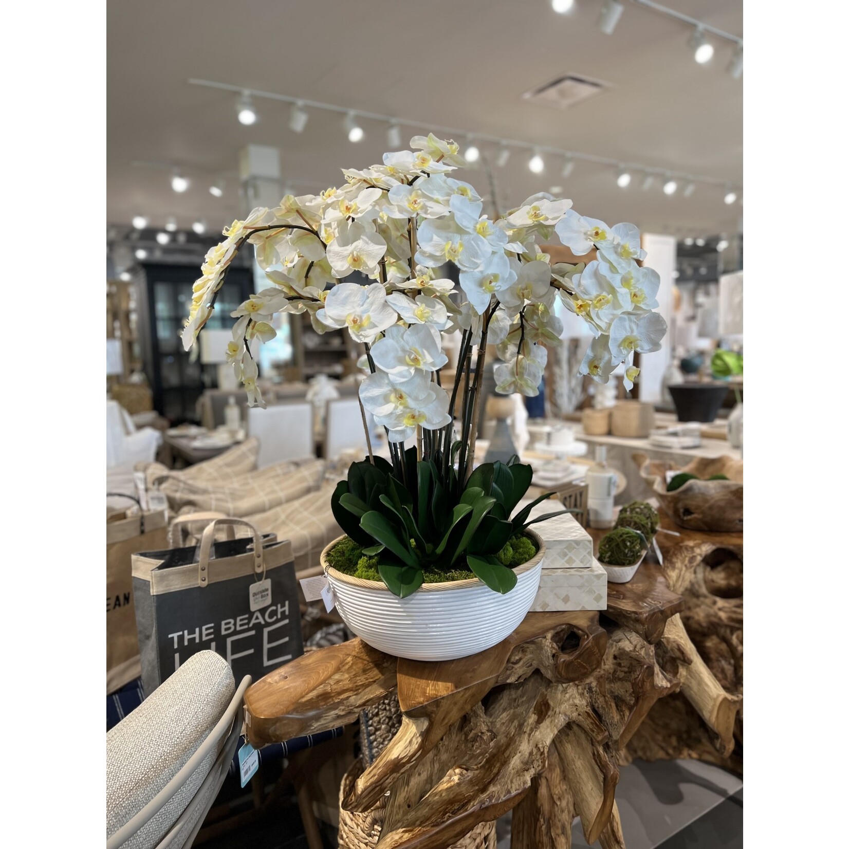 Outside The Box 36" White Phalaenopsis Orchid In White Rattan Bowl