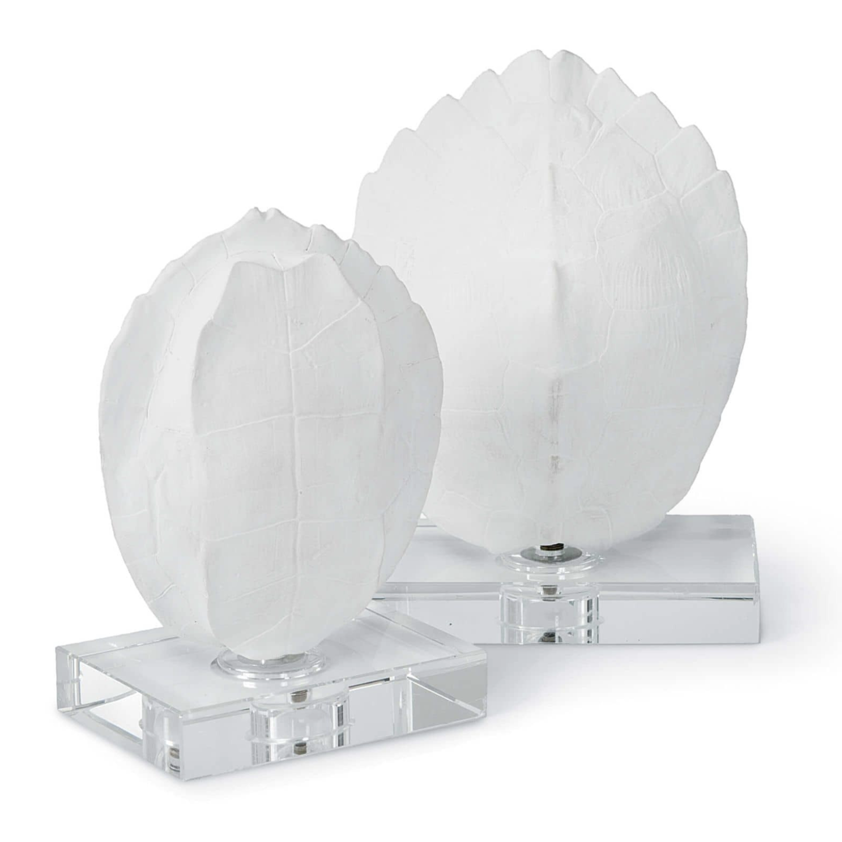 Outside The Box 9"  Set of 2 Turtle Shells On Crystal