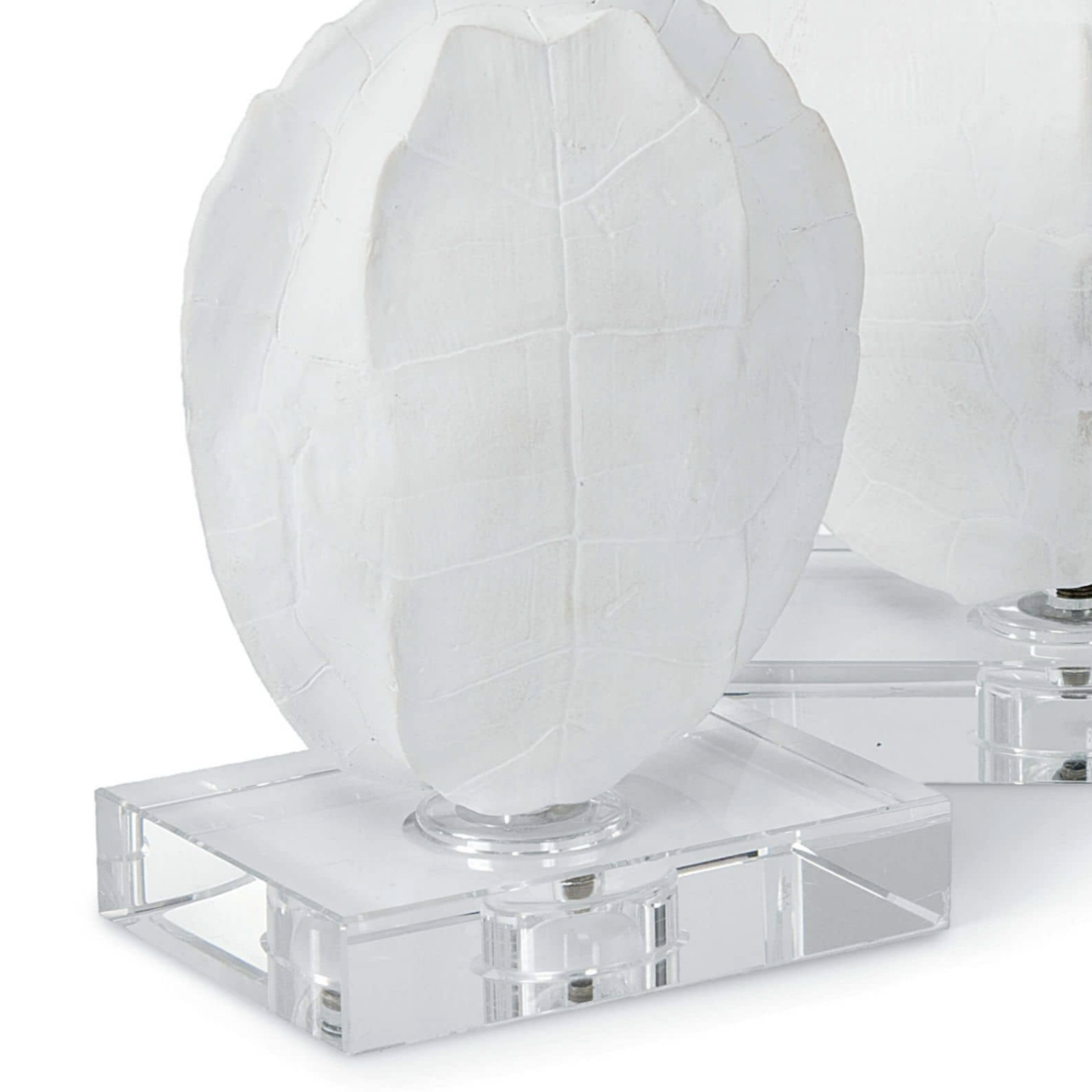 Outside The Box 9"  Set of 2 Turtle Shells On Crystal