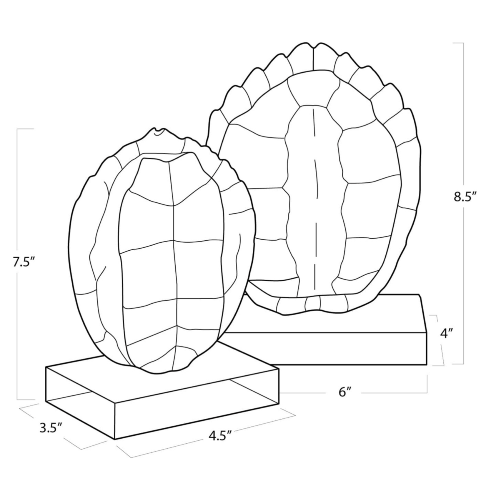 Outside The Box 9"  Set of 2 Turtle Shells On Crystal