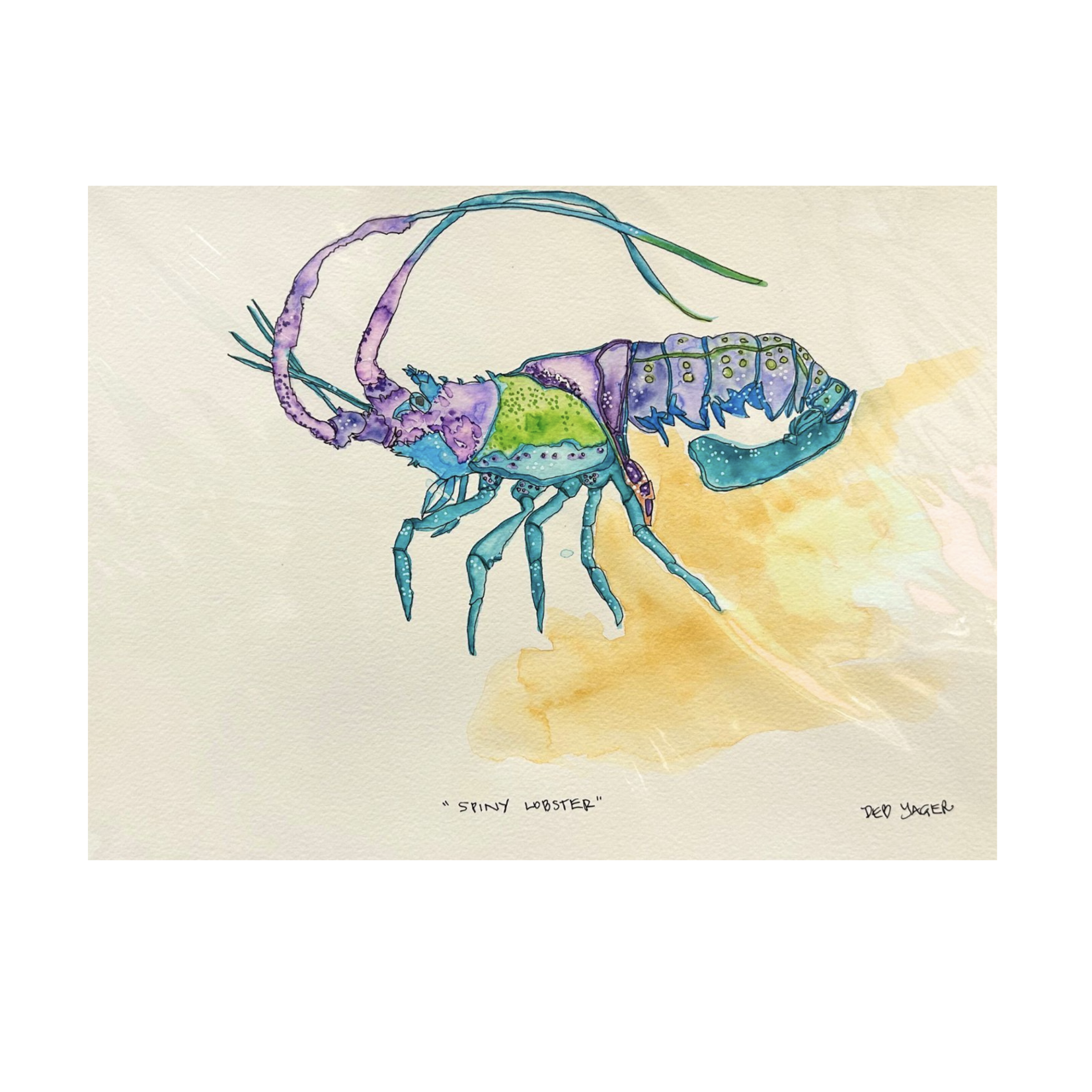 Outside The Box 14x11. "Spiny Lobster" Original Watercolor Artwork