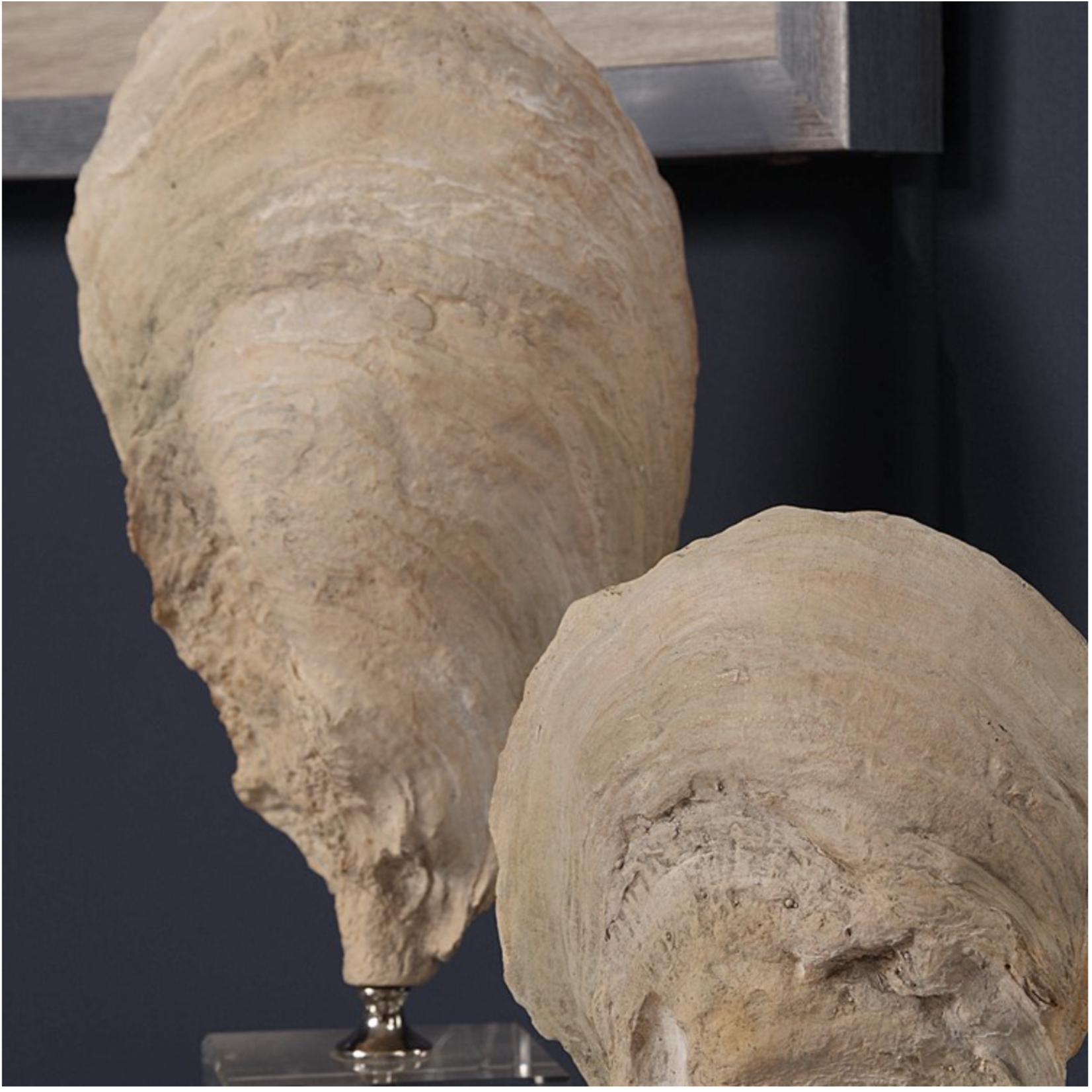 Outside The Box 15" & 11" Set Of 2 Oyster Natural Shell Sculptures