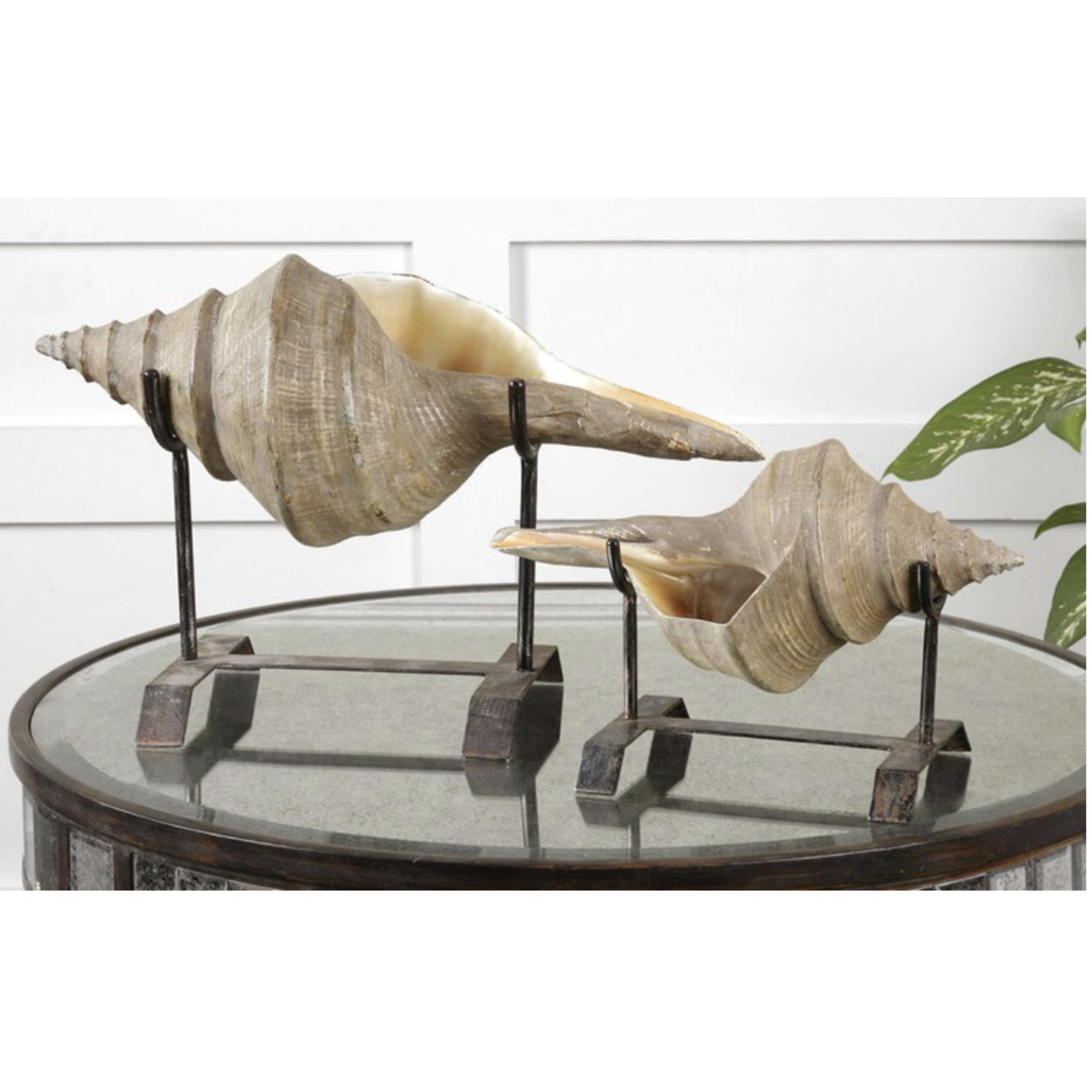 Outside The Box 12" & 8" Set Of 2 Conch Shell Sculpture With Black Stands