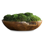 Outside The Box 19" Kinsale Preserved Moss In Natural Teak Wood Bowl