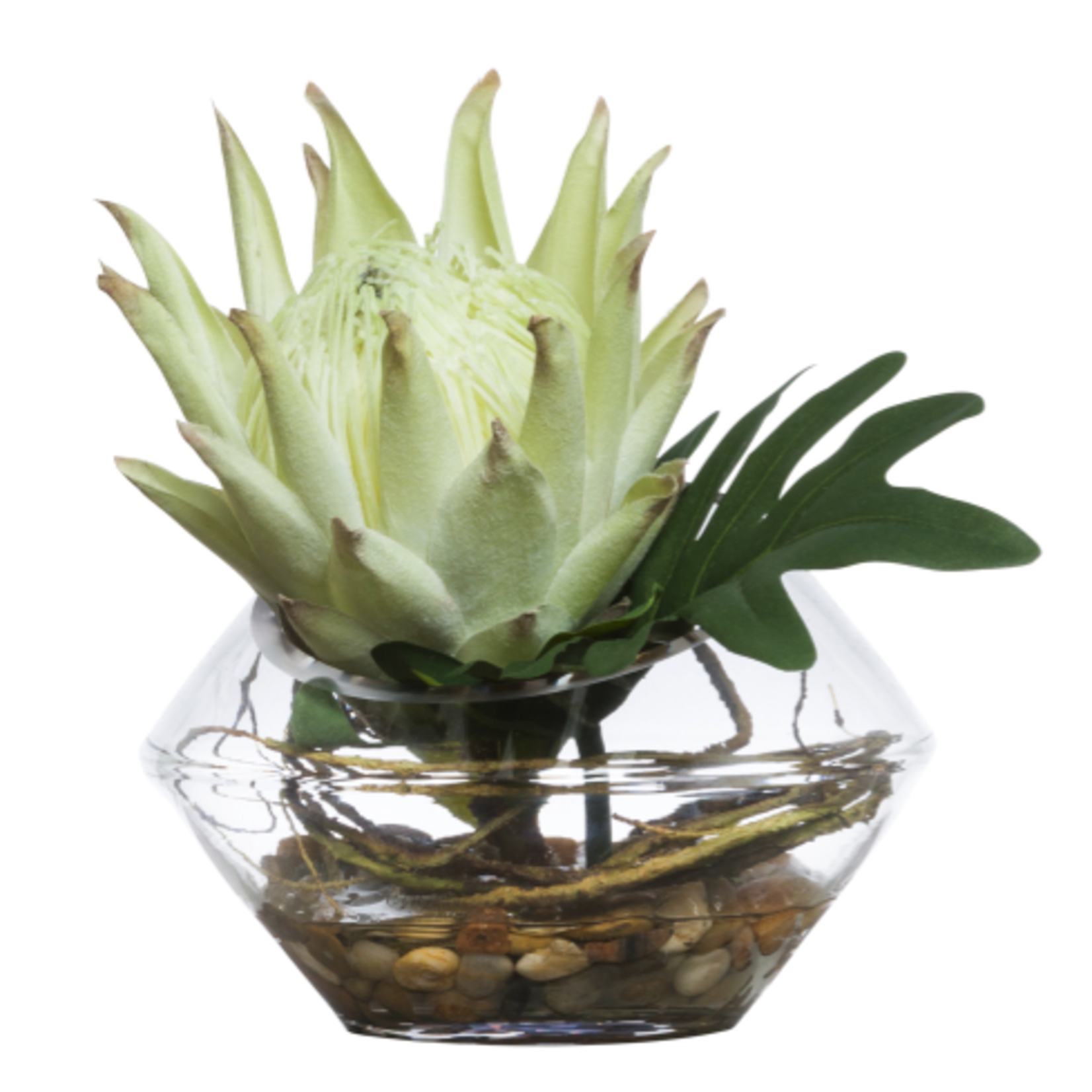 Outside The Box 9" Cream & Green Protea Mini Selloum Leaf In Water-like Vase