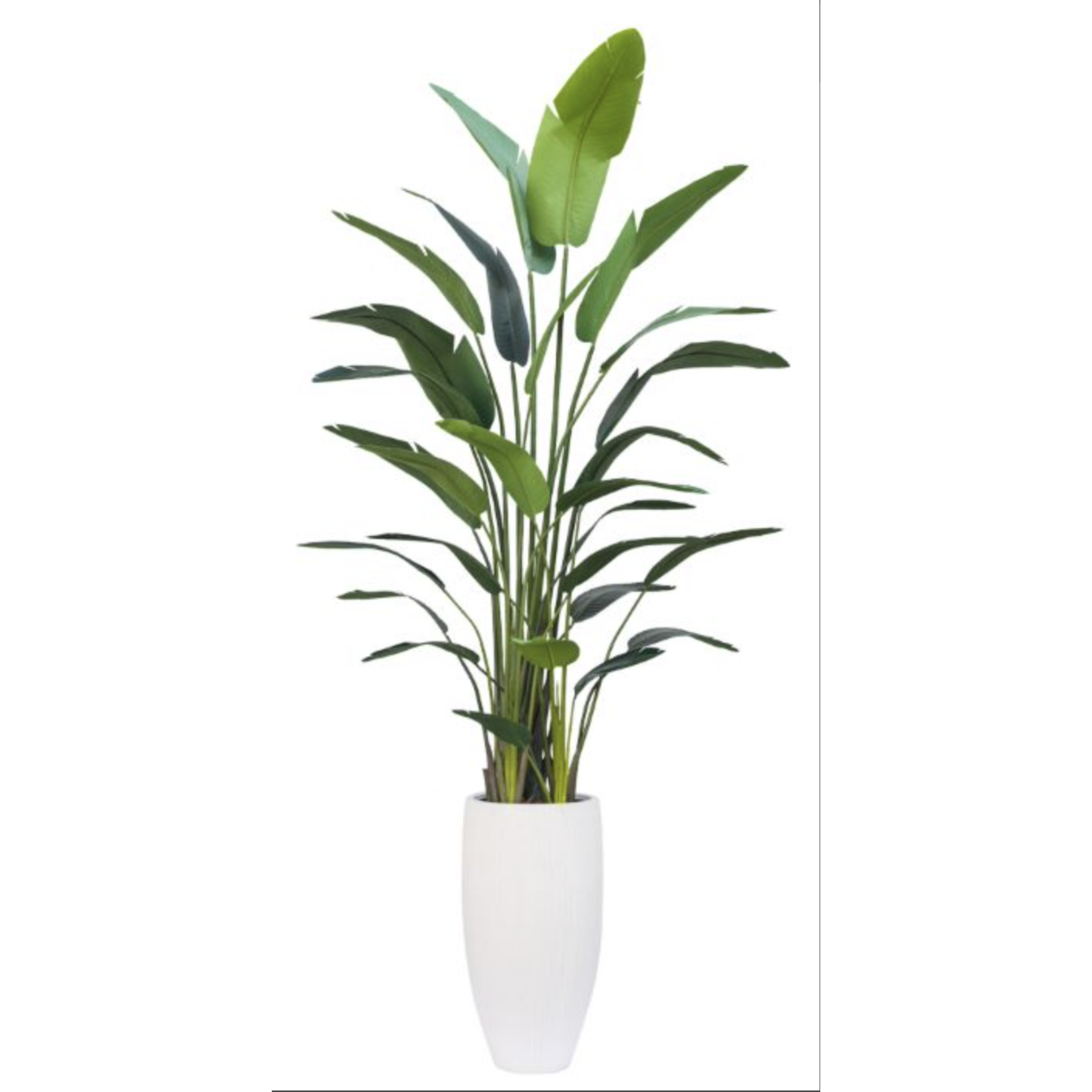 Outside The Box 11' Deluxe Travelers Palm Silk Plant In White Stone Ribbed Pot