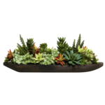 Outside The Box 28" Assorted Succulents In Solid Wood Gale Tray