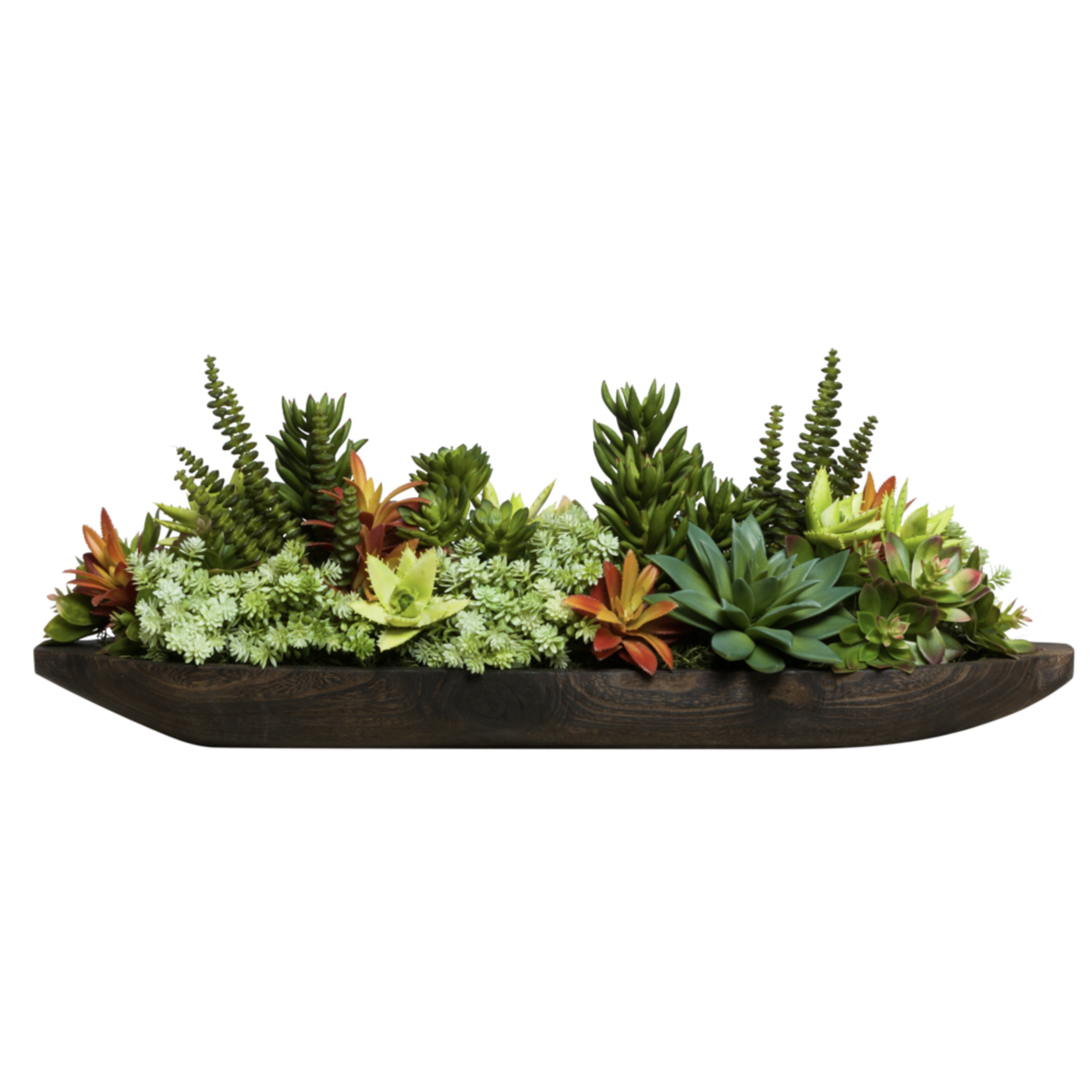 Outside The Box 28" Assorted Succulents In Solid Wood Gale Tray