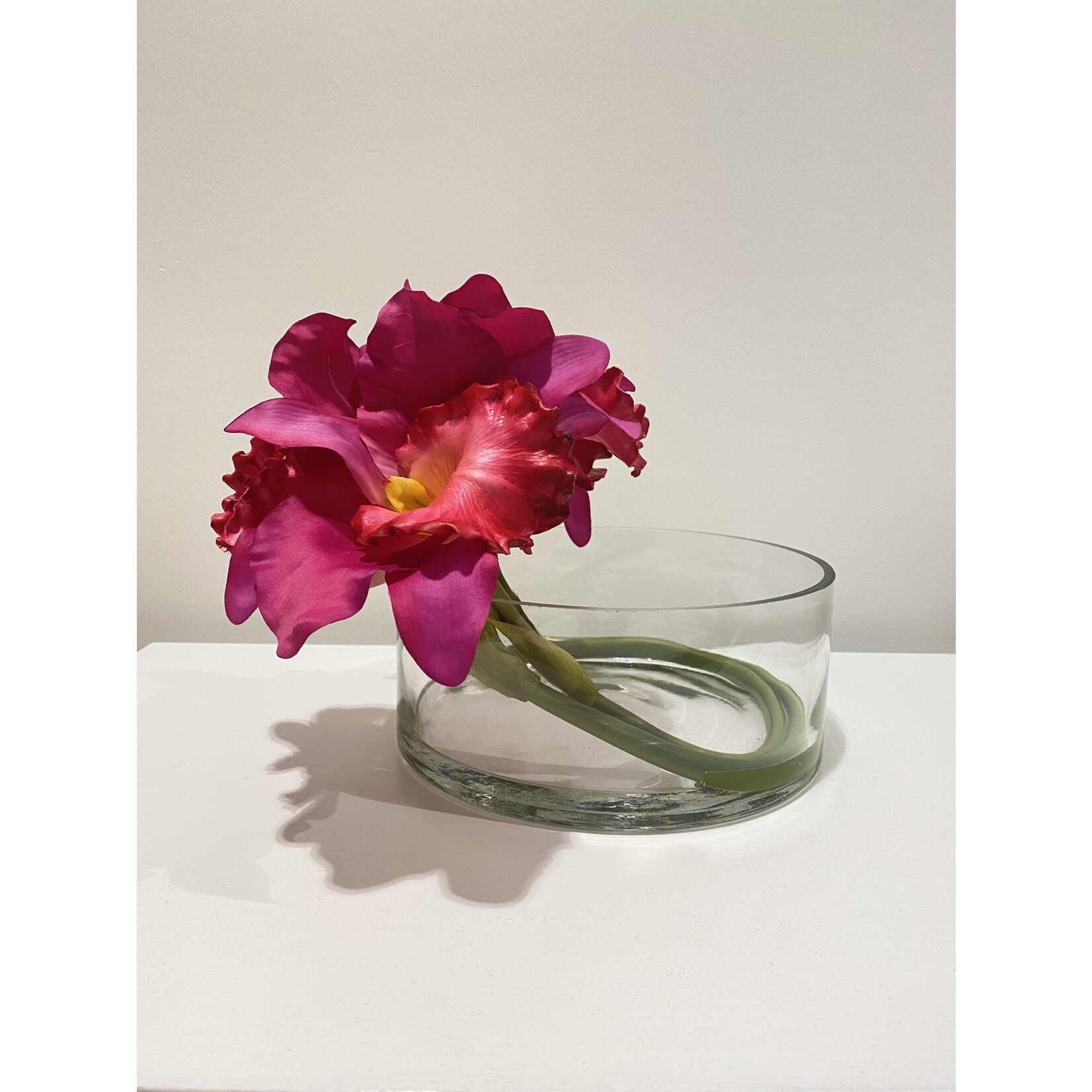 Outside The Box 10" Magenta Dendrobium Orchids Bicolor Real Touch In Glass Vase