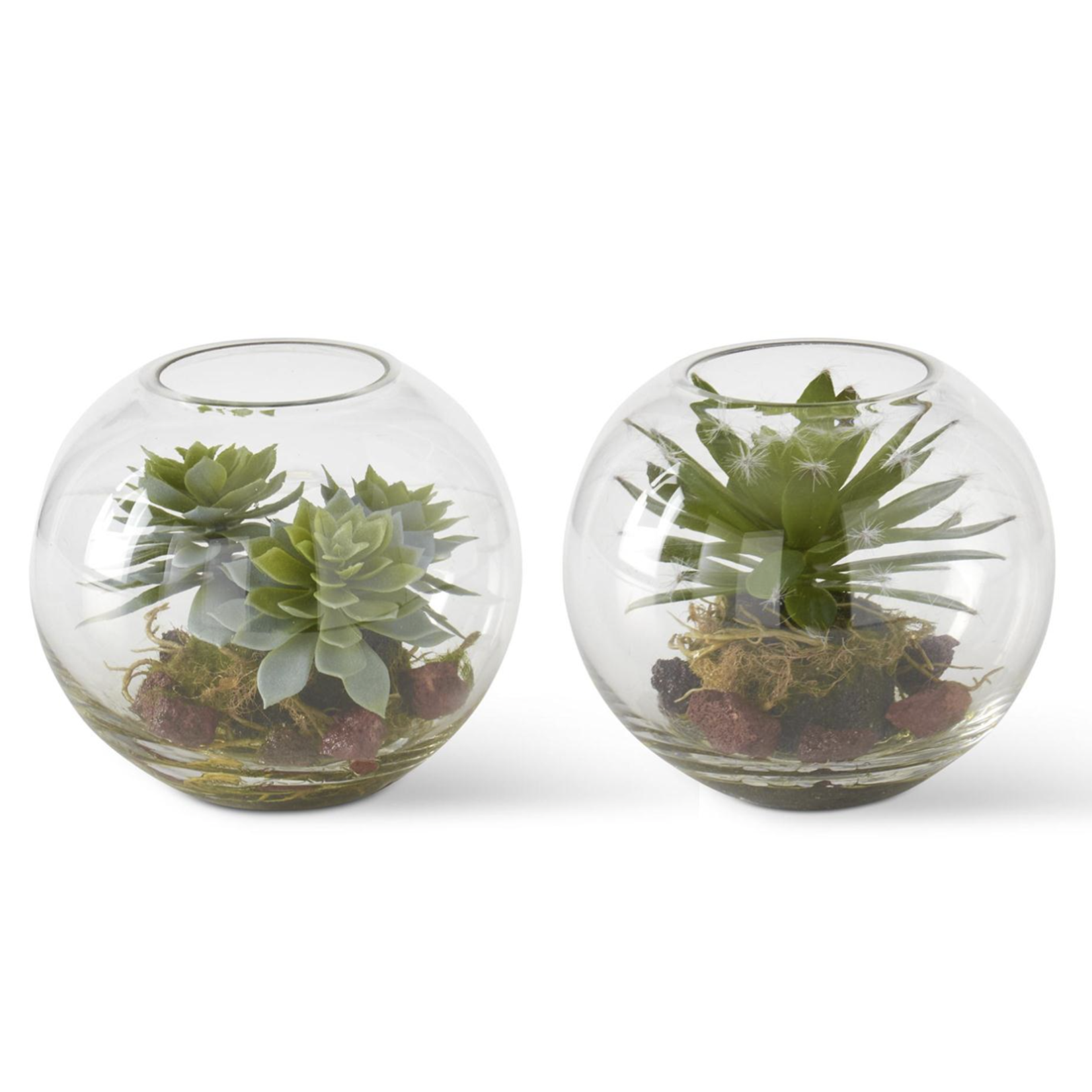 Outside The Box 5" Set Of 2 Round Glass Assorted Succulent Premade Terrarium