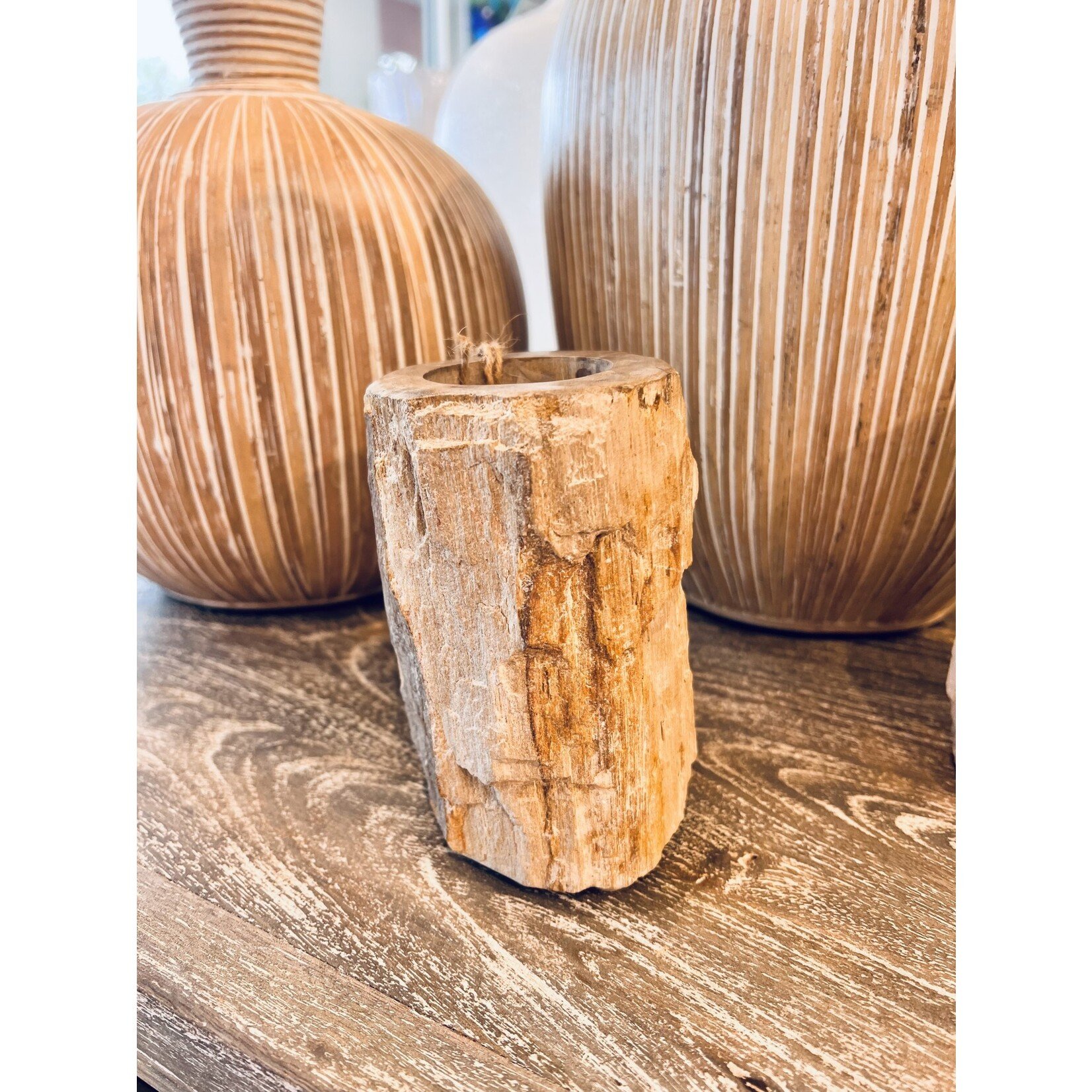 Outside The Box 5" Petrified Natural Wood Candle Holders