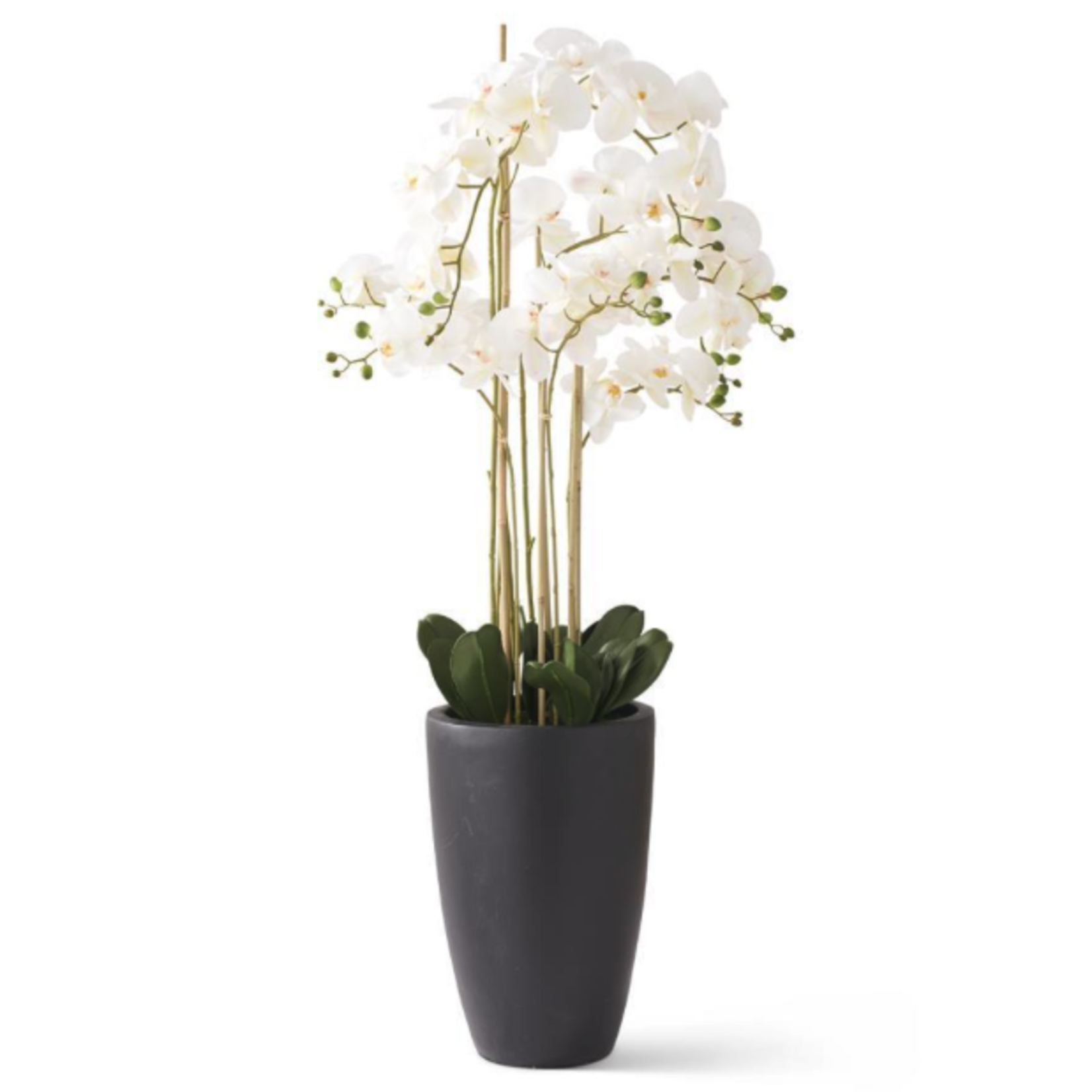 Outside The Box 50" White Phalaenopsis Real Touch Orchid In Matte Black Ceramic Planter
