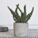 Outside The Box 7" Rosemary Faux In Gray Textured Cement Pot