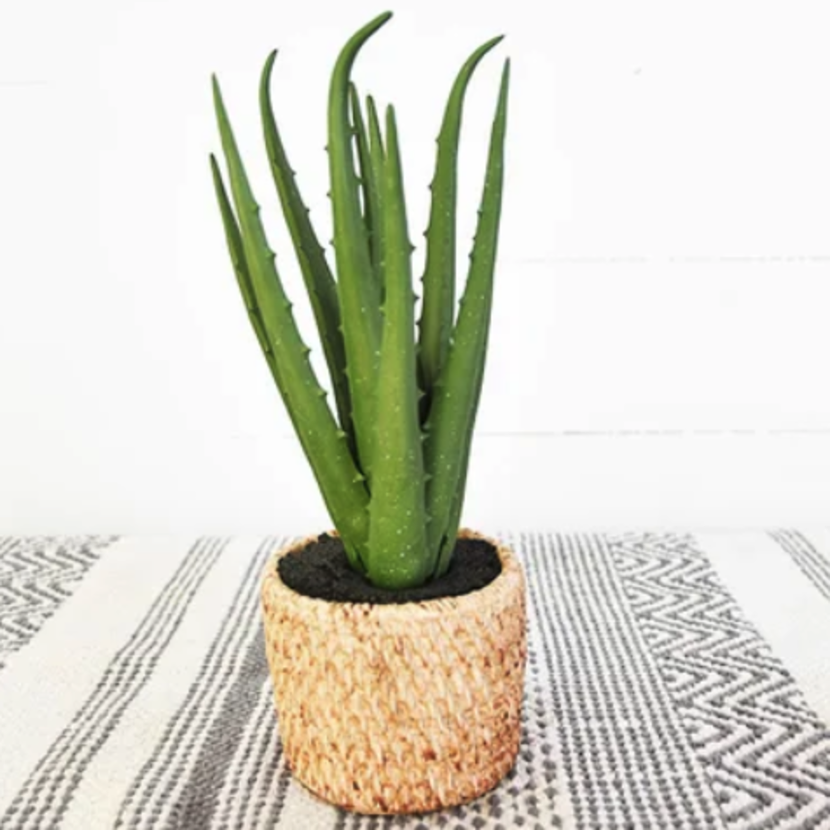 Outside The Box 13" Aloe Faux In Tan Weave Concrete Pot