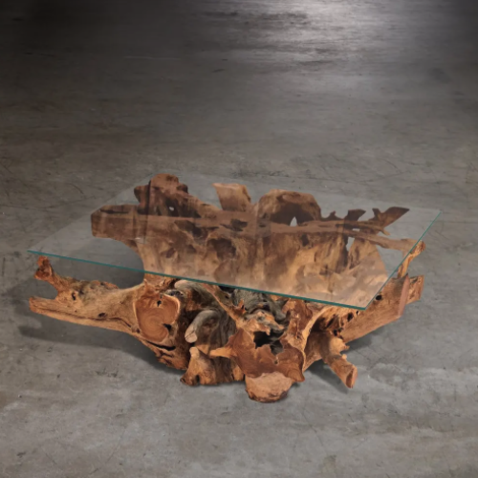 Outside The Box 40x40x17 Natural Coffee Tree Wood Root Square Coffee Table With Glass