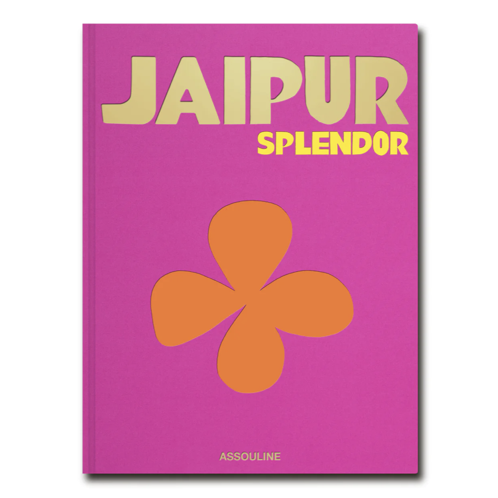 Outside The Box Jaipur Splendor Hardcover Book