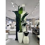 Outside The Box 8' Travelers Silk Palm In 27" White Smooth Pot